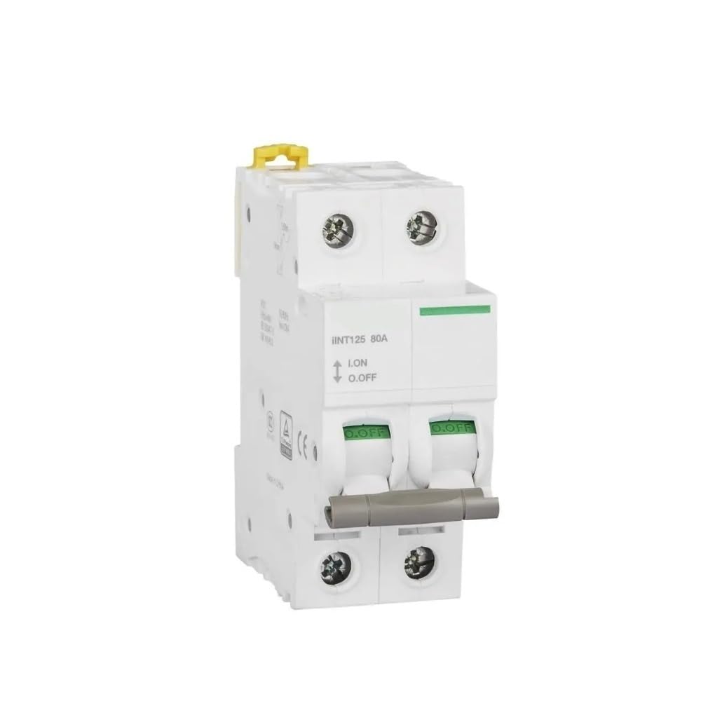 Interruttore Differenziale Puro Salvavita, Tipo C 2P 32A, 63A, 80A, 100A, Interruttore Elettrico Miniaturizzato Magnetico Termico 125A 400VAC 50HZ 6KA(63A)