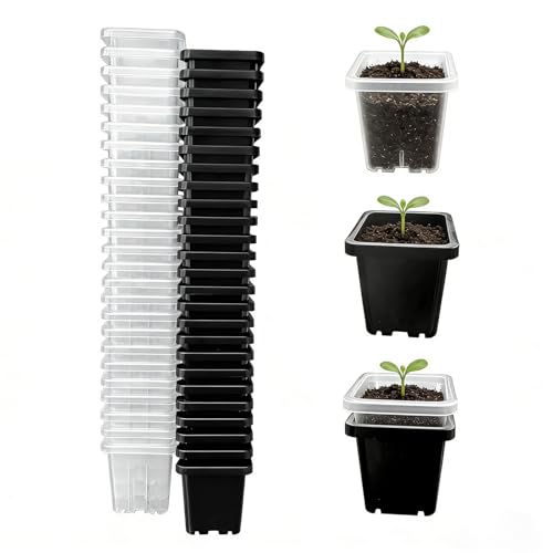 Gyfofix 2 Inch Square Nursery Pots 50 Pack (25 Clear + 25 Black) Seedling Starter Pots Plastic Plant Pots with Drainage Holes for Seed Germination Root View and Light Blocking