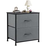 DUMOS Nightstand Small Dresser with 2 Fabric Drawers Side Bedroom End Table Kids Bedside Storage Furniture for 20 inch Tall Night Stand for Closet, Entryway, College Dorm, Grey