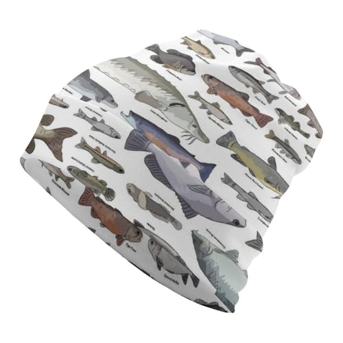 [A^A] jbgX jbgLbv ̕i ʔ r[j[Lbv Xq H~ h Lk _炩 jp