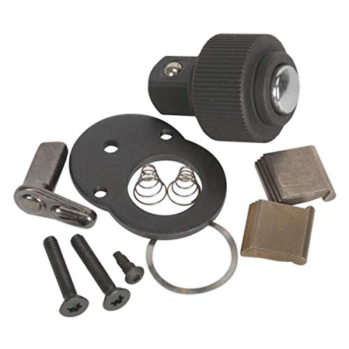 Kit de réparation AK673 Sealey pour cliquet de 0,95 cm