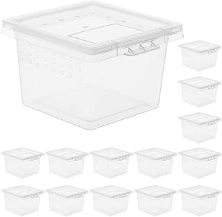 POPETPOP Reptile Terrarium 20Pcs Reptile Breeding Box Multi-use Turtle Cage Reptile Breed Box Reptile Breeding Case Glass Containers