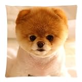 Unique Boo Dog Custom Zippered Pillow Case 18x18 (one side) Cushion Cover Case Pillow18-537