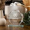 ukgiftstoreonline Large Jade Glass Personalised 15cm Pool Trophy Award Engraved #1
