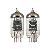 Lot de 2 tubes à vide 5751