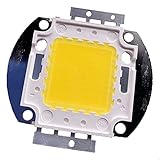 TOPXCDZ High Power LED Chip 10W 20W 30W 50W 100W SMD COB Light Bead Warm Cold White Red Green Blue RGB Full Spectrum Grow Lamp Aquarium Light (100W, Warm White 3000K)