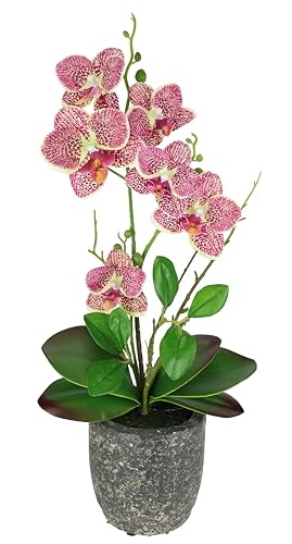 Kunstblume Schmetterling Orchidee mit Blätter und Luftwurzeln im Topf aus Keramik Künstliche Blume Kunstorchidee Phalaenopsis mit Übertopf Kunstpflanze Hochzeit Deko Seidenblume Real Touch Blüte