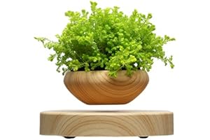 Magnetic Plant Pot: Levitating Air Bonsai Pot