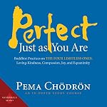 Cover of Perfect Just as You Are