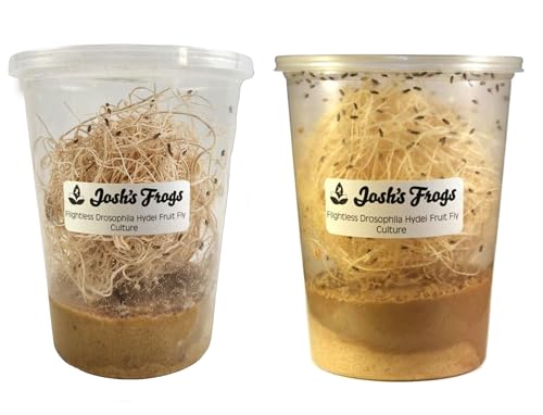 Josh's Frogs Hydei Fruit Fly Culture Producing and Fresh Combo Pack