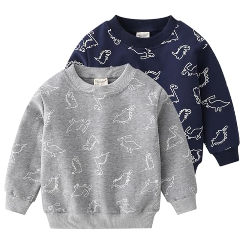 Sweat garçon dinosaure 2 pièces chaud en coton à col rond pour enfant de 1 à 8 ans