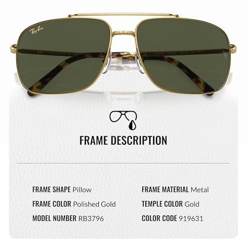 Ray-Ban RB3796 Square-Round Shaped Sunglasses for Men & Women with Official RAYBAN Eyewear Kit3