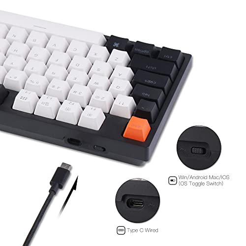 Keychron C1 Hot-Swappable Wired Mechanical Keyboard With Gateron G Pro Brown Switch/Double-Shot Abs Keycaps/White Backlight/Usb Type-C Cable, Tenkeyless 87 Keys Computer Keyboard For Mac Windows Pc #TOP2
