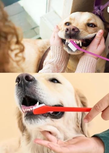 Image of YYaaloa 10pcs Double-Headed Toothbrush Dog Toothbrush Kit Set with Long Handle Soft Grooming for Cat Puppy Kitten Teeth Cleaning Dental Oral Cleaning (10 Colors, 10pcs)