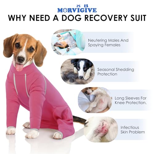 Image of Spay Recovery Female Dog - Rose, Large - Surgery Suit for Dogs Female After Spaying, Substitute E-Collar & Cone, Dog Surgery Suit for Shedding, Prevent Licking Surgical French Bulldog