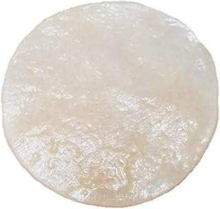 Matcha Kombucha Scoby Starter Kit with Starter Tea to Ferment Culture Healthy Fresh Raw Live