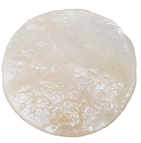 Matcha Kombucha Scoby Starter Kit with Starter Tea to Ferment Culture Healthy Fresh Raw Live