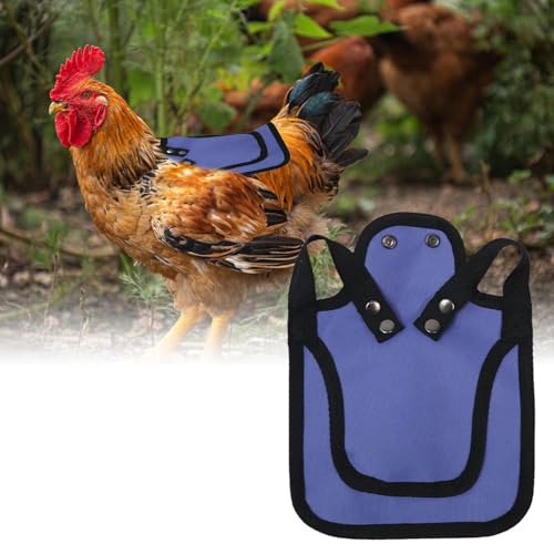Sillín de pollo para evitar lesiones de aves de corral con chaleco 4