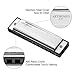 ARTHOMES Harmonica, Blues Harmonica Key of C 10 Holes 20 Tones with Mini Harmonica Necklace and Cleaning Cloth for Professional Player Beginner Students Children Kids Entry-level