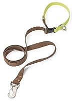 Algopix Similar Product 5 - WEST PAW Jaunts Dog Leash with Comfort
