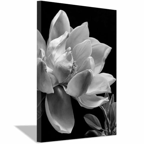 Peinture sur toile noir et blanc magnolia XENIOU 20x30cm encadrée