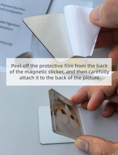 18 Stück Set zum Magnete Basteln & Selbst Gestalten – Klare 5x5 cm Fotomagnete Kühlschrankmagnete aus Acryl mit Kleberücken & Ferrit-Magneten für DIY-Deko (Küche, Büro, Schule)