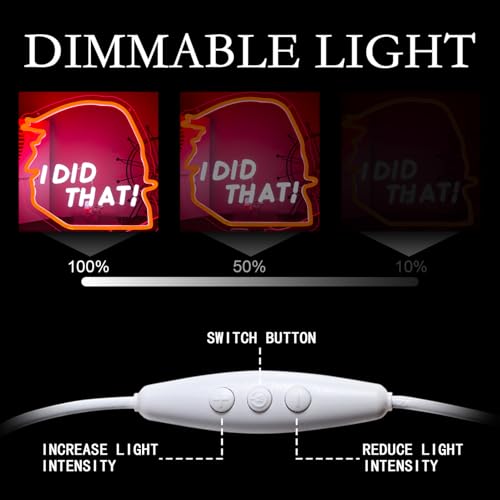 Image of I Did That Neon Signs for Wall Decor, 5V Dimmable I Did That Neon Light,USB power supply Tump Neon Signs,12.1 * 12.2Inch