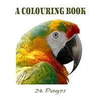A COLOURING BOOK: FOR KIDS & TEENS B0F6DDJM6Q Book Cover