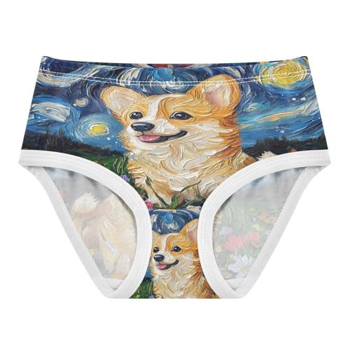 Cute Baby Corgi Dog Van Gogh Starry Night Toddler Girls's Underwear 2T 202b8583