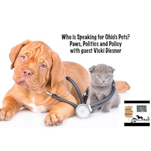 Who is Speaking for Ohio's Pets? Paws, Politics and Policy with guest Vicki Diesner
