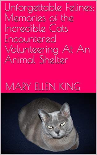 Unforgettable Felines: Memories of the Incredible Cats Encountered Volunteering At