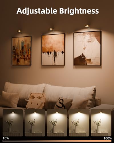 EZVALO Picture Lights for Wall, 2000mAh Rechargeable Battery Magnetic Poster Lights with 3 Color Temps & 12 RGB, Remote Dimmable Timer Painting Light, Wall Decor Light for Art Display, Frame (3 Pack)