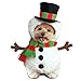 Rubie's Walking Snowman Pet Costume, Medium
