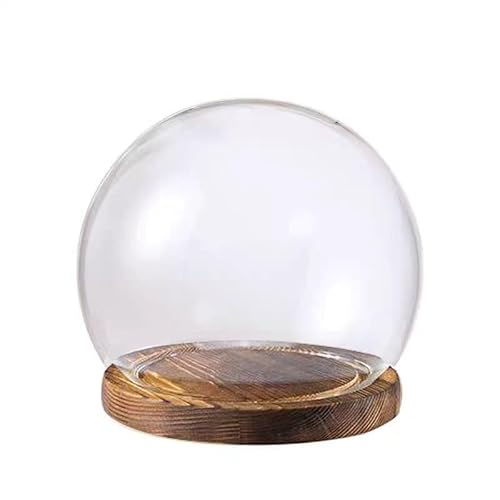 NLKJIOQA Glass Dome Cloche Bell Jar, With Solid Wooden Base, Jars For Flower Specimens Home Decor(10cm)
