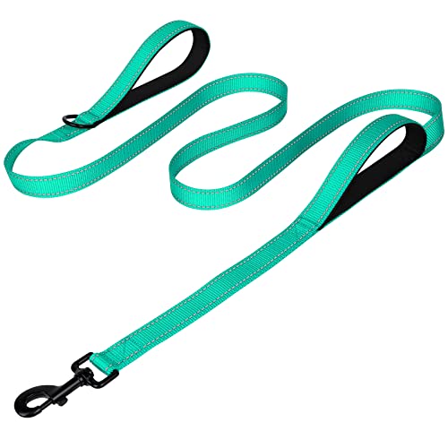 Joytale Double Handle Dog Leash, Double-Sided Reflective Dog Leashes For Night Safety, Heavy Duty Leash For Large And Extra Large And Medium Breed Dogs Outside Walking,6Ft,Teal #TOP12