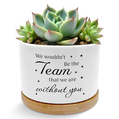 ROXMART Team Appreciation Gifts for Employees Plant Pots,