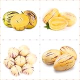 100 Pc Semillas De Melón Peral - Melón Pepino - Semillas De Árboles, Plantas Para Lugares Soleados Semillas De Plantas De Pepino, Pera Y Melón, Semillas De Bonsái, Plantas En Macetas