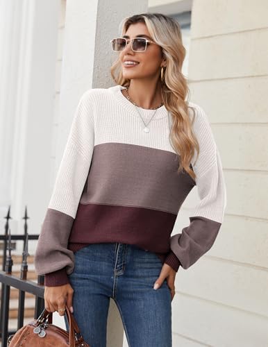 Zeagoo Womens Color Block Sweaters Plus Size Fall 2025 Crew Neck Chunky Sweater for Women - image 4