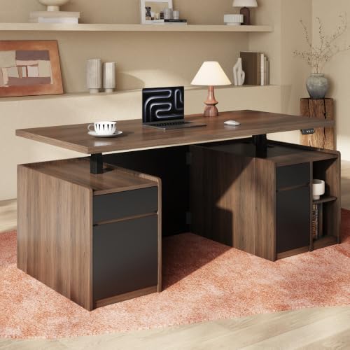 Executive Standing Desk with Storage and Privacy Panel