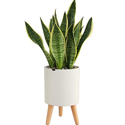 Sungmor Smart Alarm Jardinière à arrosage...
