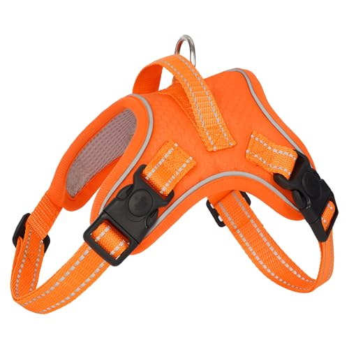 [Luvian]y2024V݌vzpn[lX nƌ^fUC ht ʋCbV y ^/^/^Ή ˃XgCv 5FWJ NCbN U Pp ̌N(IW,S)