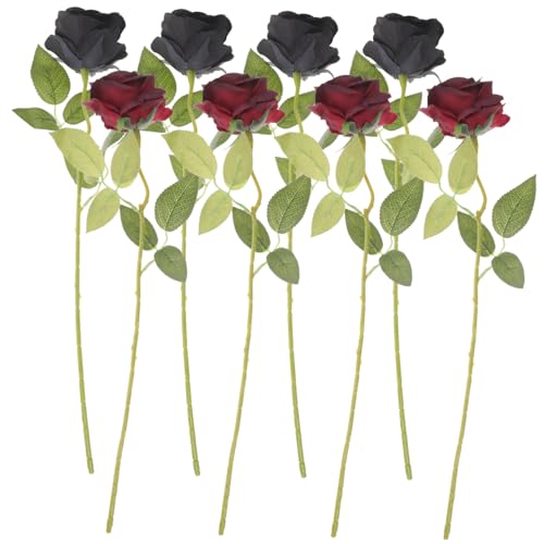 OUNONA 8 V~[V [Y lH o tFCN [Y    z[    K[h lH A   VN z