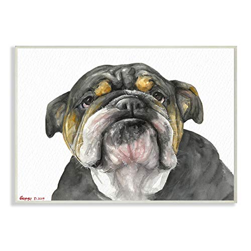 Stupell Industries Chubby Bulldog Portrait Old Dog Charm Black Brown, Design by George Dyachenko Wall Plaque, 10 x 15