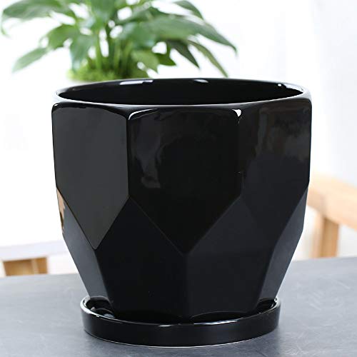 Pots de plantes en céramique avec plateau bambou à offrir pour bureau
