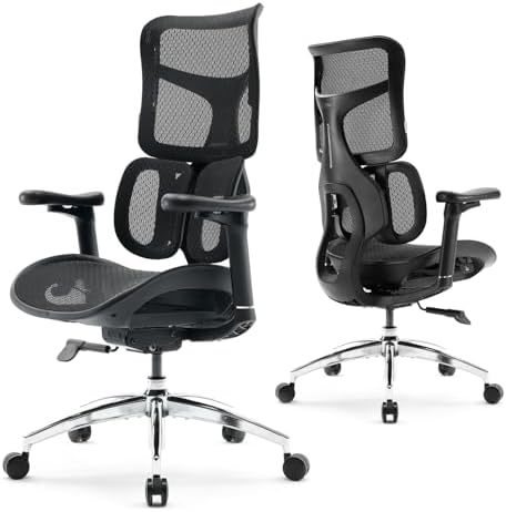 SIHOO Doro S100 Ergonomic Office Chair - Dual Dynamic Lumbar Supp...