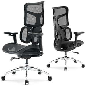 SIHOO Doro S100 Ergonomic Office Chair - Dual Dynamic Lumbar Support, 4D Coordinated Armrests, 5-Level Adjustable Backrest, Recline Angle 135-degree Max. Suitable for Home Office (Black)