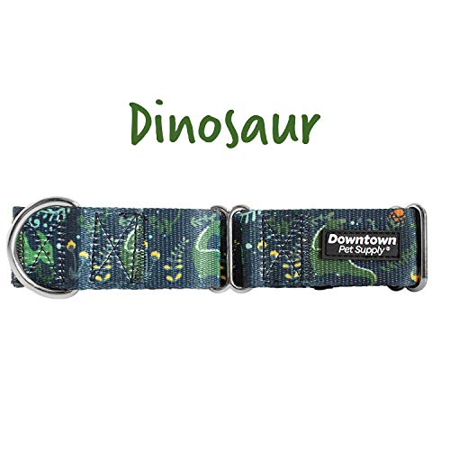 Downtown Pet Supply - Martingale Collar For Dogs - Dog Training Collar - Big, Wide & Thick Dog Collar - Escape-Proof, Weatherproof, Durable And Comfortable - Dino - Large Dog Collar #TOP1