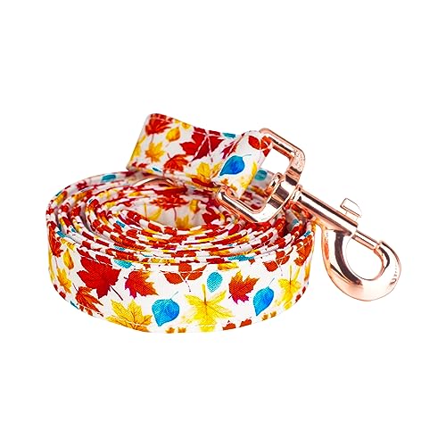 Image of Tunkoo Autumn Charm Dog Leash with Metal Buckle - Durable, Stylish, and Perfectly Sized for Fall Season Daily Walking S