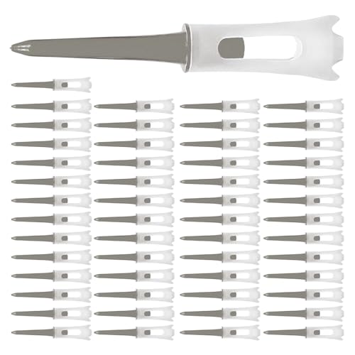 50 SteB[RWx[XŌpWSteB[