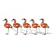 Produktbild Konstsmide, 6267-803, LED Acryl Flamingos, 5er-Set, 40 bernsteinfarbene Dioden, 24V_Außentrafo, weißes Kabel
